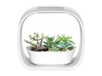 Playful LED lamp with integrated planter, Elarivae VFMW18008