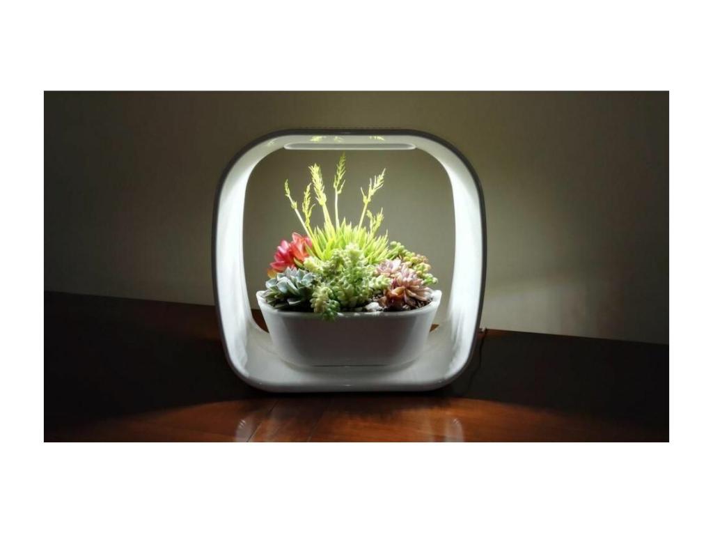 Playful LED lamp with integrated planter, Elarivae VFMW18008