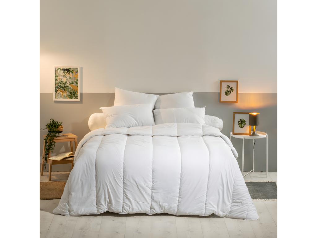 Set of 2 Anti-mite Pillows - Soft Comfort - 60x60cm QDTI41451