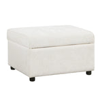Sectional Sofa Pull-out Sofa Bed Sleeper