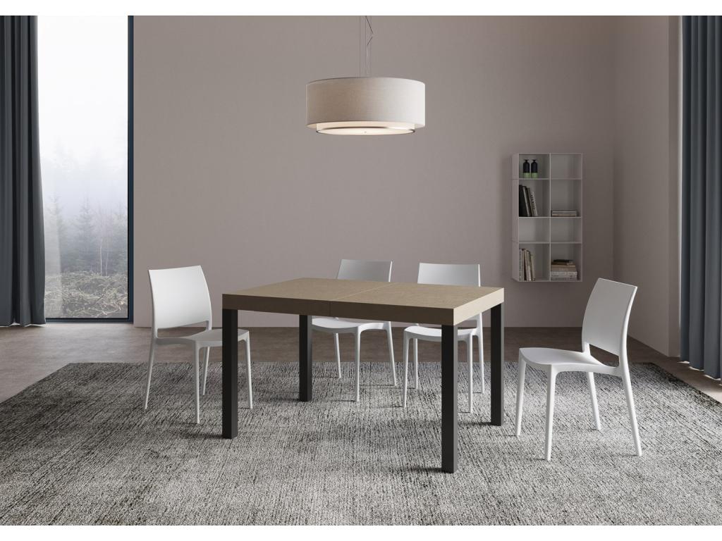 Extendable table 80x120/204 cm Everyday Anthracite frame DGSS18893